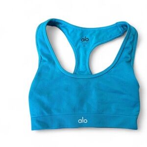 ALO Women's Blue ribbed sports bra